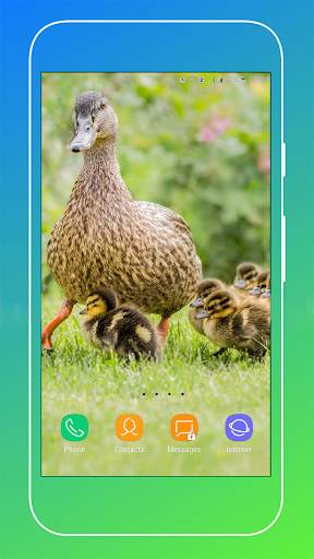 Duck Wallpaper screenshot 13