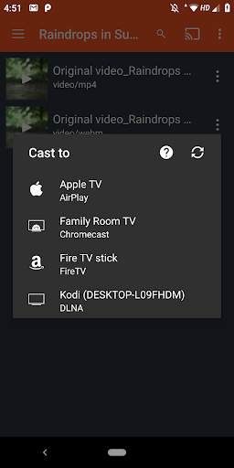 XtremeCast Chromecast, Roku screenshot 3