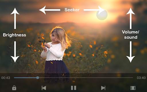 PLAY Pro - Flash Player, FLV (All Media) screenshot 3