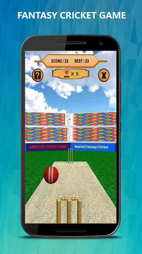 Bowled 3D - Cricket Game screenshot 1