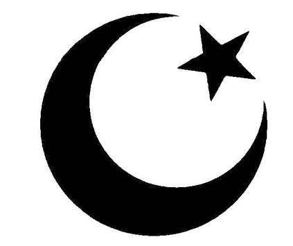 The True Sunnah 1 تصوير الشاشة