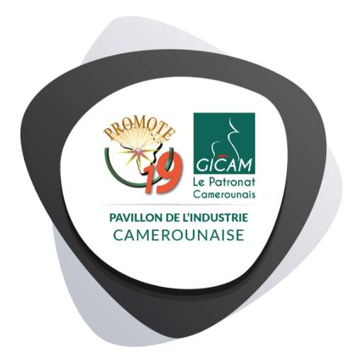 Promote 2019 (Pavillon de l'industrie) 1.0.5