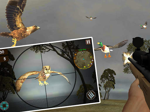Island Bird Sniper Shooter - Bird Hunting Games screenshot 10