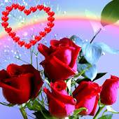 Rose Love HD Wallpaper 1.1