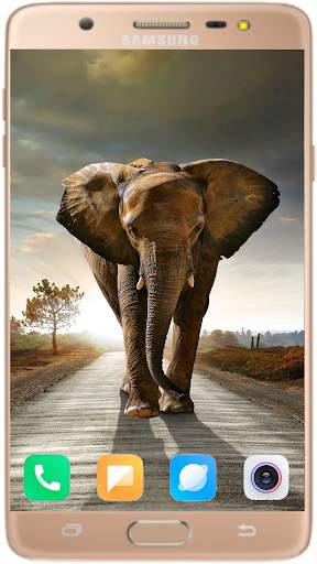 Elephant Wallpaper Best HD screenshot 15