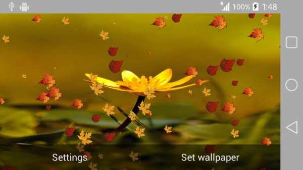 Nature Live Wallpaper screenshot 11