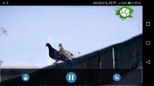 Экран ТВ Mobile screenshot 4