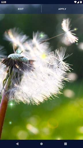 Green Spring Live Wallpaper screenshot 5