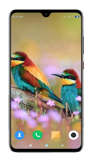 Bird Wallpaper 4K screenshot 6