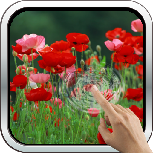Red Poppies 3D Wallpaper icon