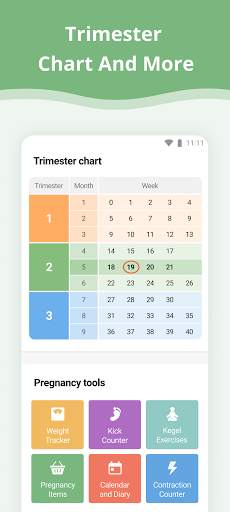 Pregnancy App screenshot 7