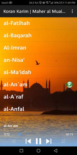 Koran Kareem offline | Maher al Muaiqly screenshot 3