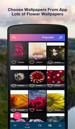 Flower Wallpaper Live - 4K Flower Wallpapers Free screenshot 2