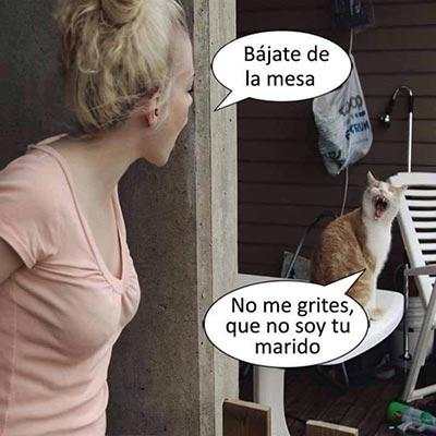 Imagenes chistosas screenshot 4