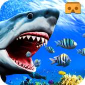 VR Shark Attack Angry Blue Whale 1.0