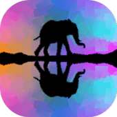 Pic Mirror Effect on 9Apps