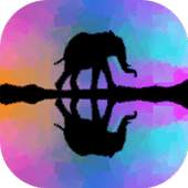Pic Mirror Effect 1.2.4