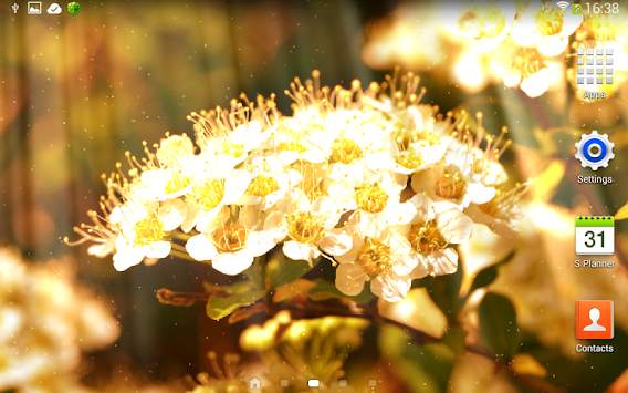 Spring Flowers Live Wallpaper screenshot 6