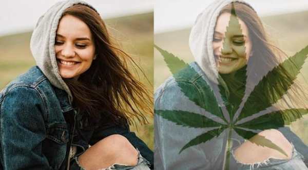 Weed Effects Photo Editor & Background Change screenshot 3