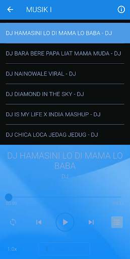 DJ SET FIRE TO THE RAIN REMIX VIRAL screenshot 3