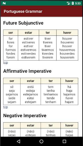 Portuguese Grammar Essentials screenshot 8