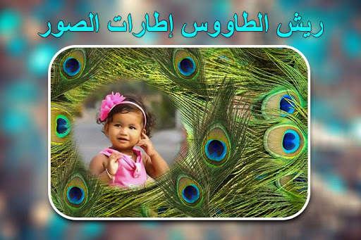 إطارات صور ريش الطاووس 5 تصوير الشاشة