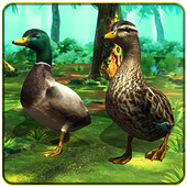 Duck Family Simulator 3D icon