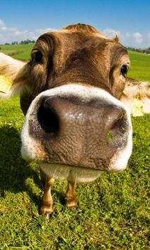 Farm Animal Puzzles Free Games screenshot 3