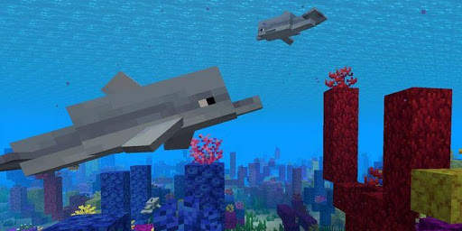 Dolphin Mod for Minecraft screenshot 2
