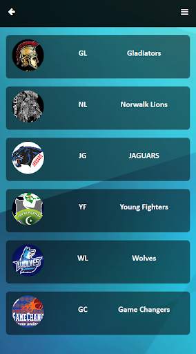 S Cricket Hub screenshot 3