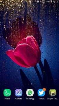 HD Tulip New Wallpaper screenshot 12