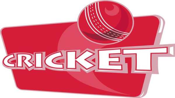 Support Cricket Team screenshot 2