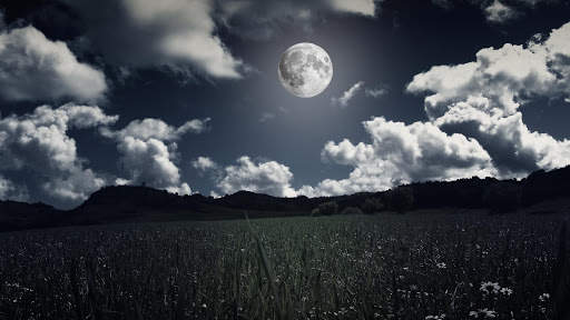 Moonlight Live Wallpaper : backgrounds hd screenshot 13