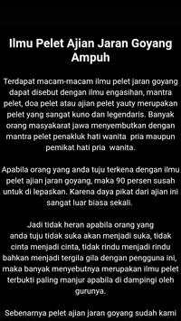 Sakti Pellet Spell screenshot 3