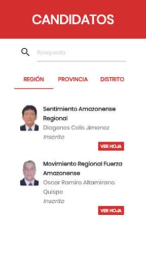 Voto Informado 2020 ( Migrado a Consulta PE ) screenshot 3