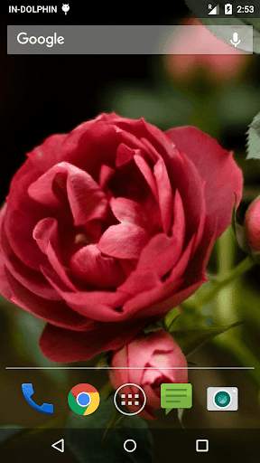 Love Rose Wave livewallpaper 4 تصوير الشاشة
