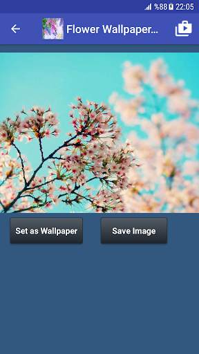 Flower Wallpapers screenshot 7