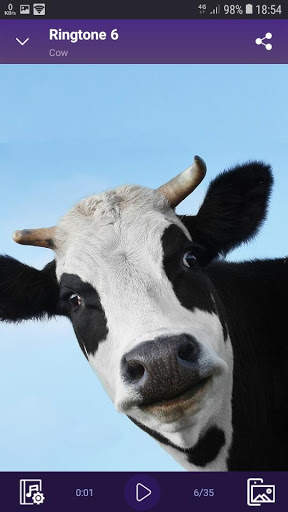 Cow - RINGTONES and WALLPAPERS screenshot 3