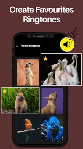 Animal Ringtones & Bird Sounds screenshot 4