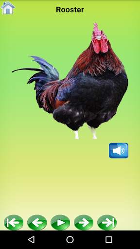 Birds Sound App, Birds Sound Application स्क्रीनशॉट 1