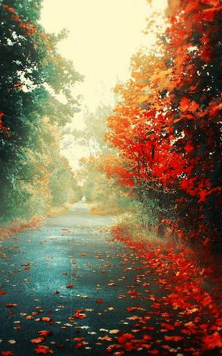 Autumn Live Wallpaper HD screenshot 1
