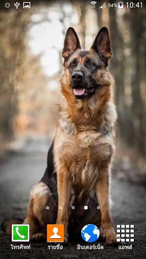 German Shepherd Wallpaper screenshot 3