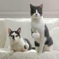 Funny pics)))