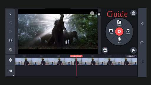 Guide for Master Video Editing screenshot 4