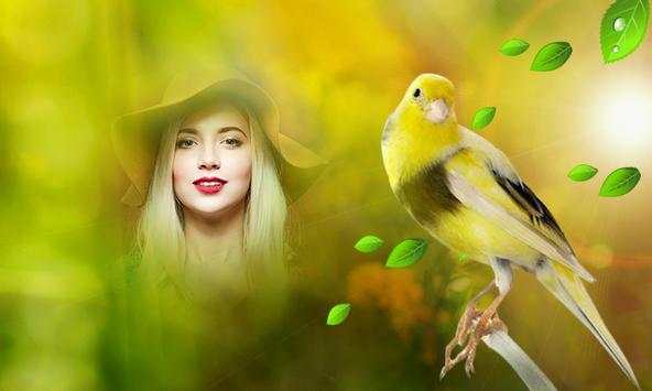 Birds Photo Frames HD screenshot 2
