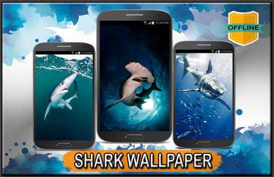 Shark Wallpaper 4K screenshot 1