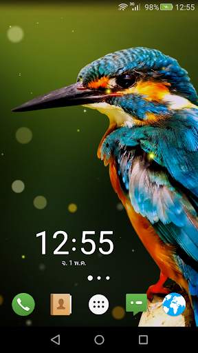 Bird Live Wallpaper screenshot 1