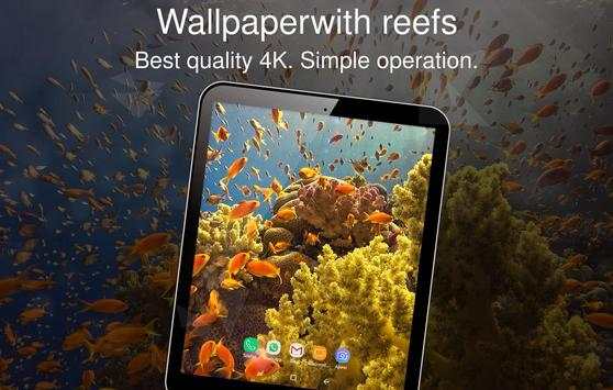 Wallpaper 4K with reefs screenshot 7