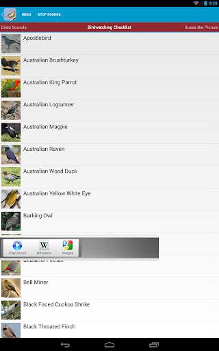 Australian Birds Sounds Free स्क्रीनशॉट 19