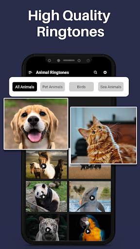 Animal Ringtones & Bird Sounds screenshot 6